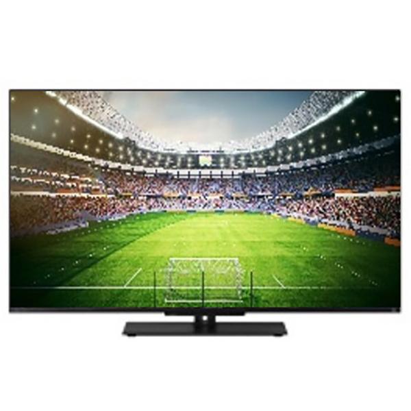 【期間限定特別価格】★在庫僅少★九州エリア完売★ REGZA 65V型4Kチューナー内蔵4K対応液晶テレビ Z670N series 65Z670N ブラック ※エリア内基本設置無料